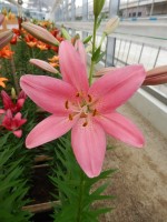 [4094 Ebro DJ No02.JPG]